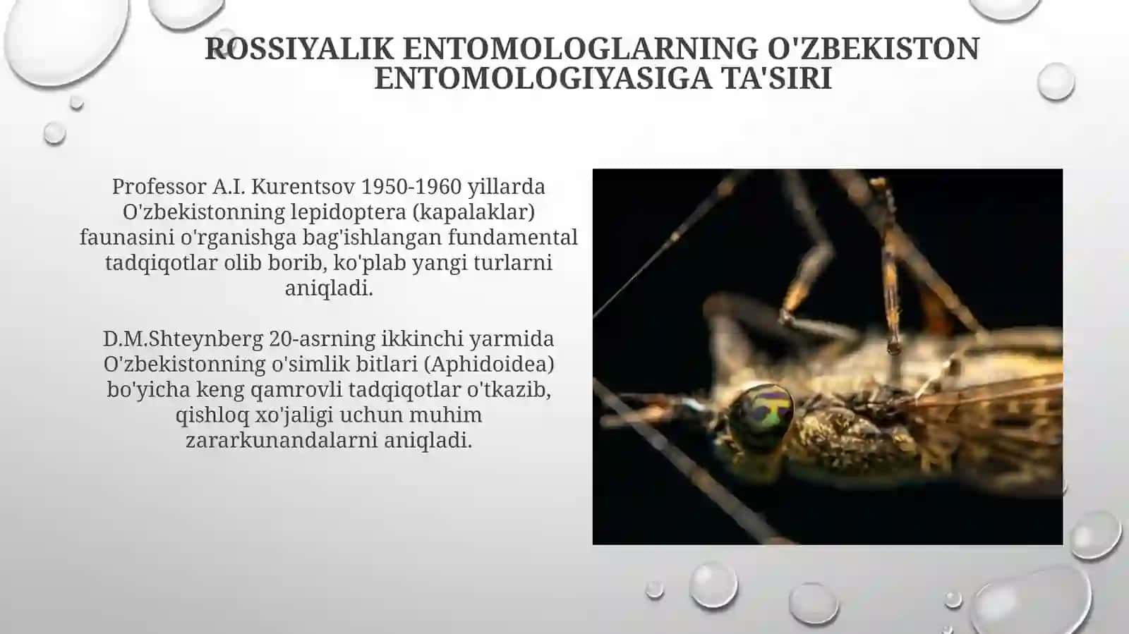 Oʻzbekistondaentamalogiyafaniningrivojlanishidaoʻzbekvaxorijiyolimlariningxizmatlari 3