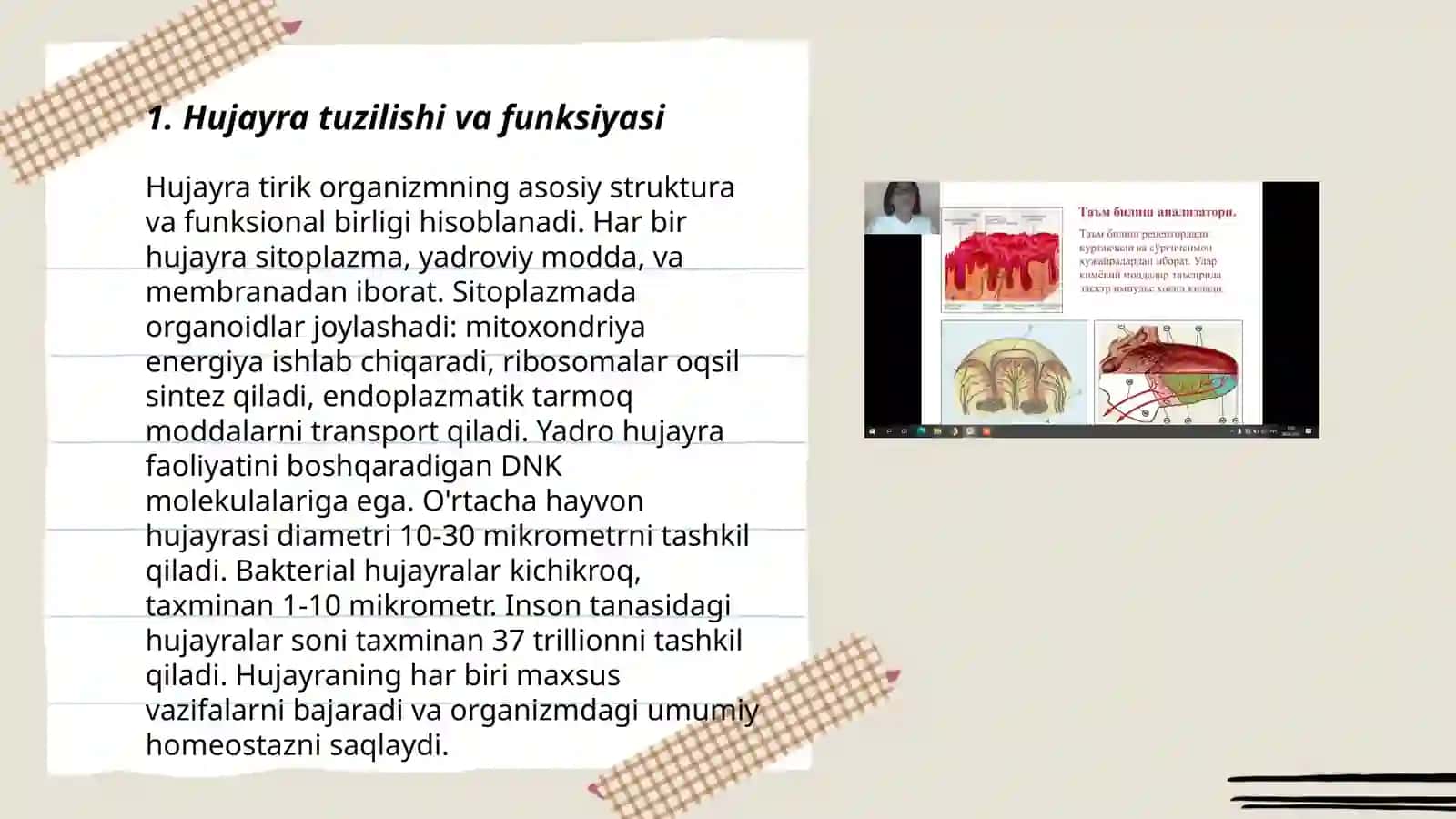 Odam anatomiyasi va fiziologiyasi 3