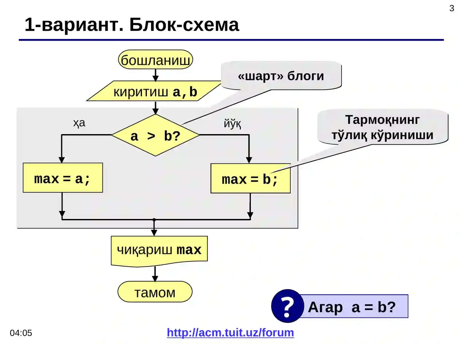 Тармоқланувчи алгоритм 3
