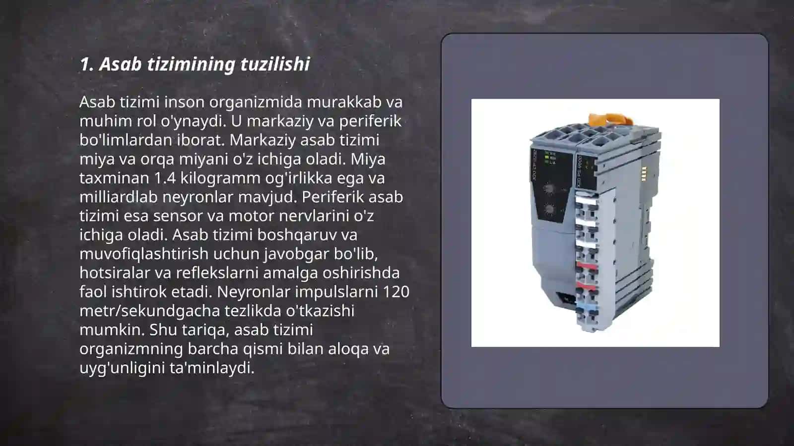 Asab tizimida kompensator moslashuv Asab tizimini trofik funksiyasi 3
