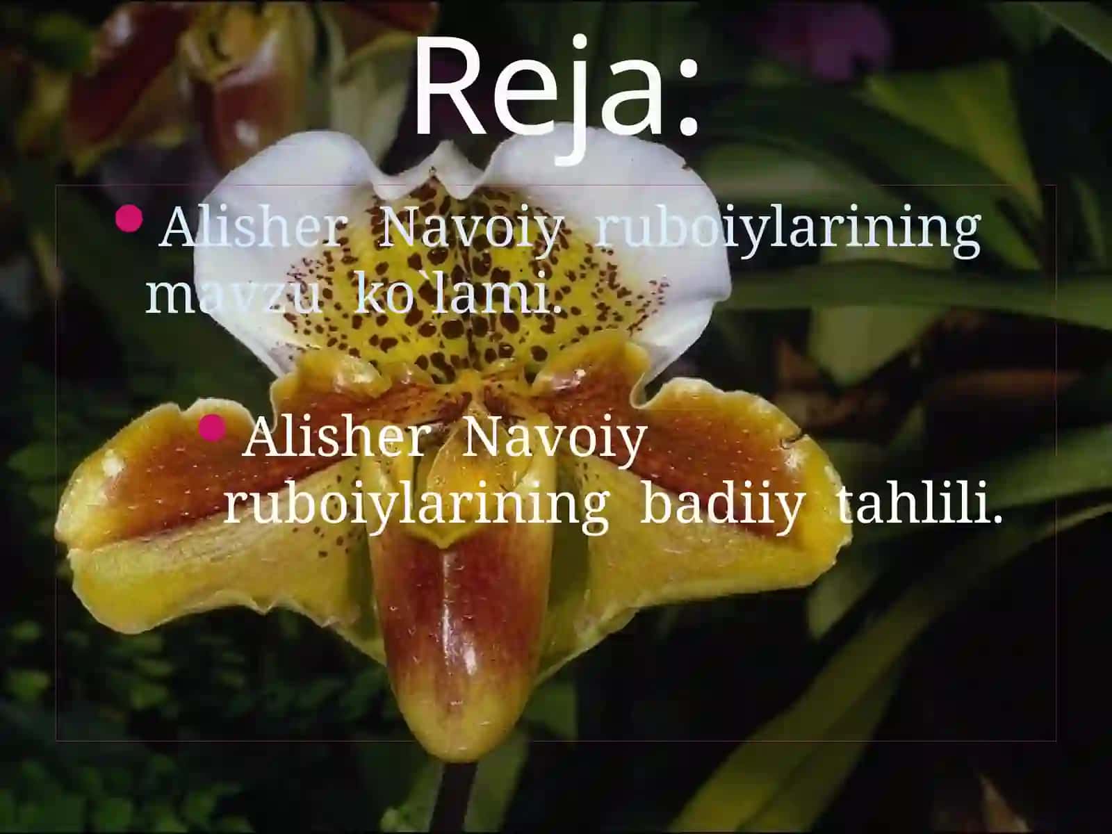 8-sinf Adabiyot Alisher Navoiy ruboiylar mavzuda dars taqdimot 3