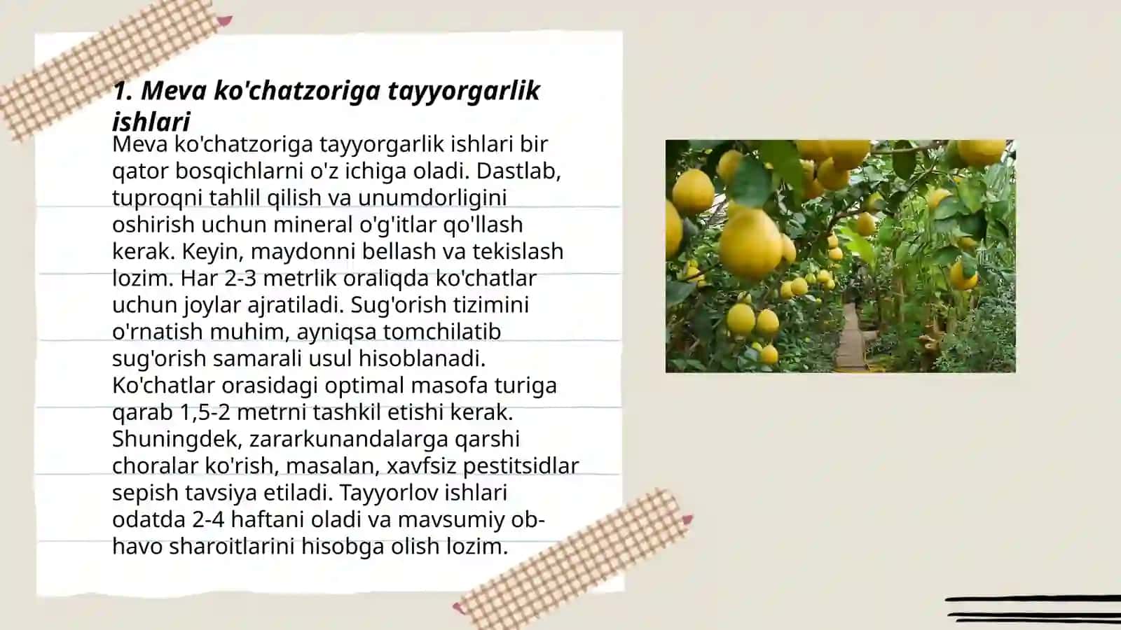 Meva kòchatzorini tashkil qilish 3