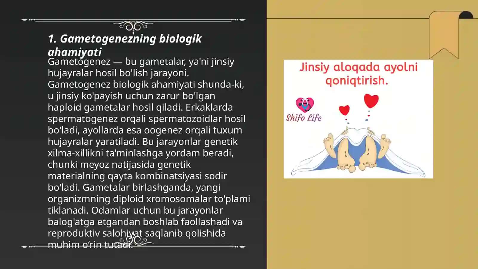 Jinsiy hujayralarning rivojlanishi. Gametogenez 3