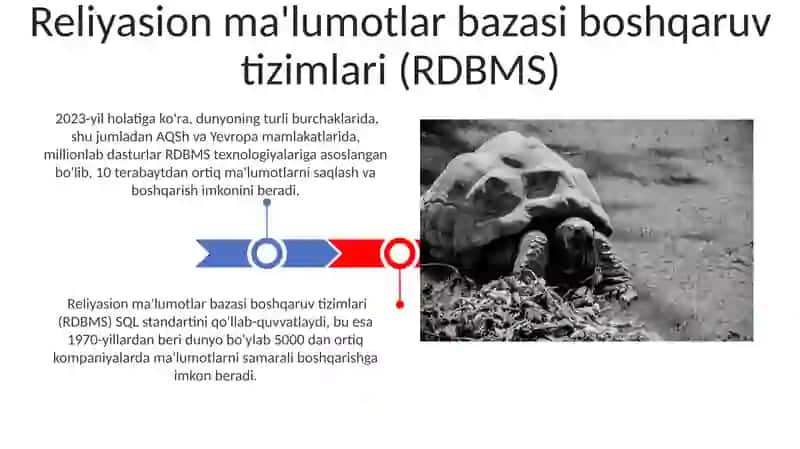 Katta Hajmdagi Ma'lumotlarni Qayta Ishlash Texnologiyalari 3