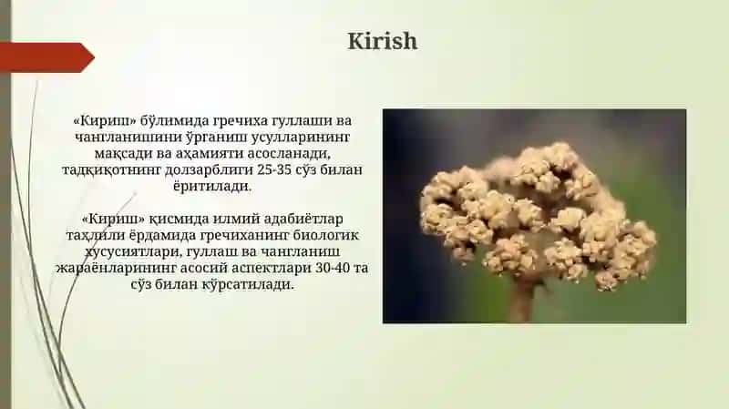 Gullash va Changlanish Usullari 3