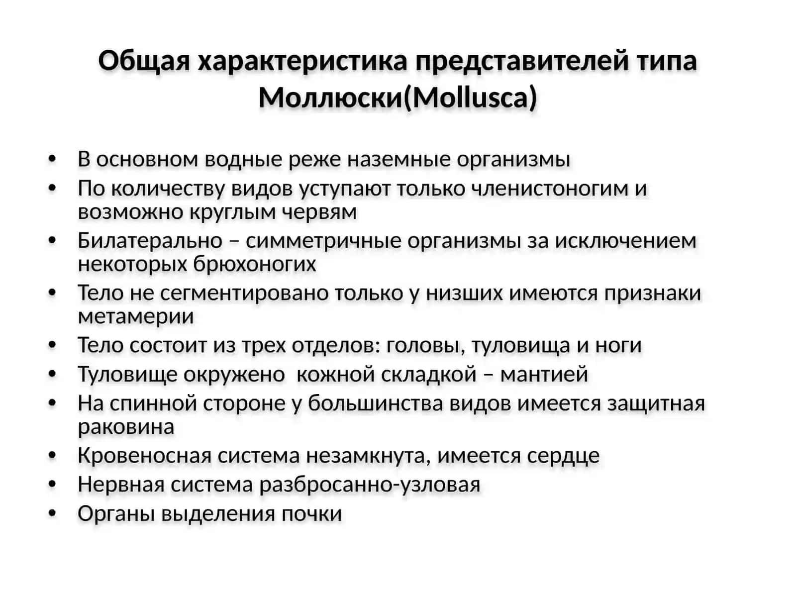 Моллюски и Членистоногие 3