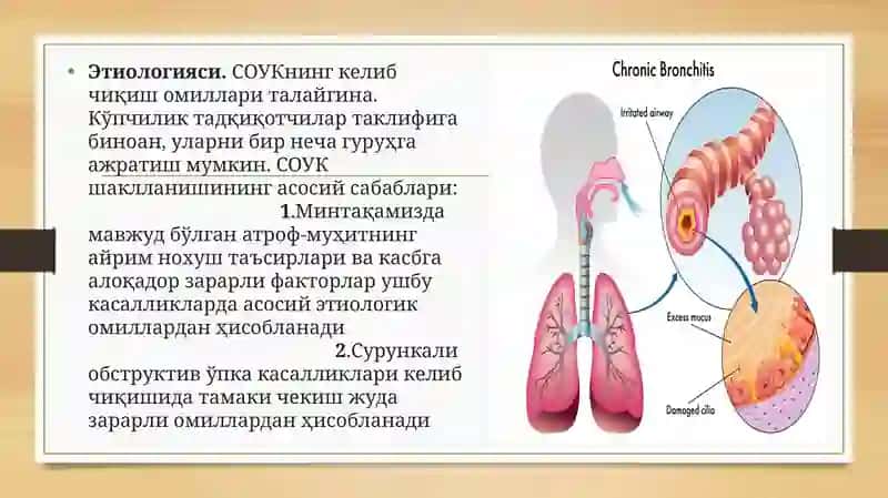 O'pka obstruktiv kasalliklari, sarkoidoz, fibrozlanuvchi alveolit, bronxial astma 3