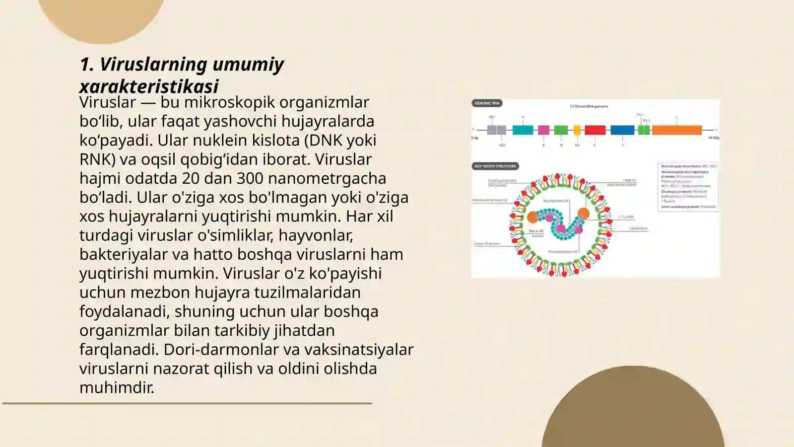 Viruslarning ahamiyati 3