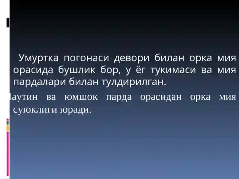Периферик нерв системаси 3