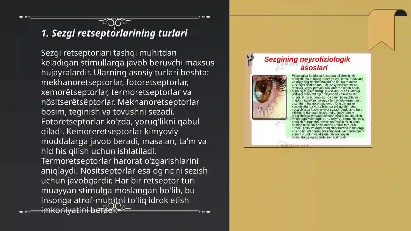 Sezgining reflektor va retseptor nazariyalari va sezgilarning nerv-fiziologik asoslari 3