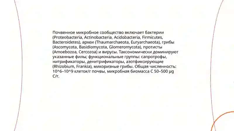 Экология микроорганизмов. Микрофлора почвы, воды и воздуха 3