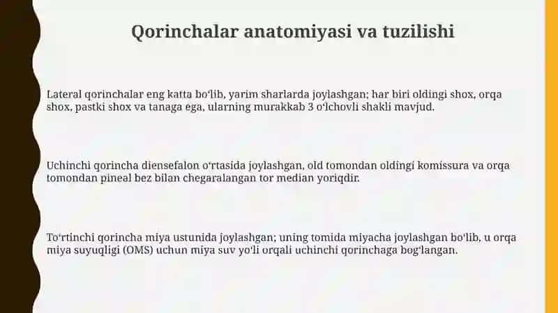 Qorinchalar anatomiyasi va ularning funksiyasional ahamiyati 3