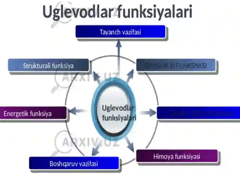 Uglevod turlari va funksiyasi 3