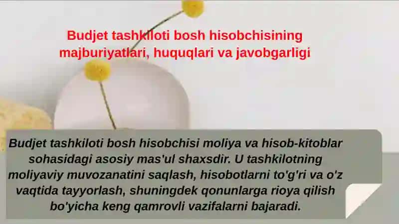 Budjettashkiloti bosh hisobchisining majburiyatlari, huquqlari va javobgarligi 3