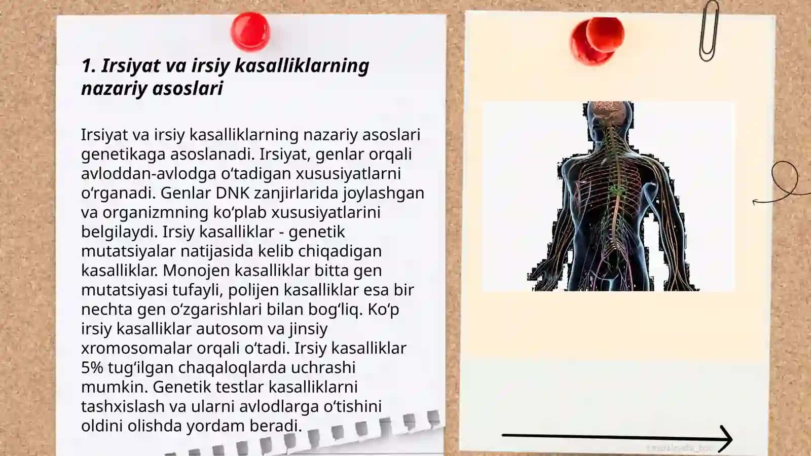 Irsiyat va irsiy kasalliklar.Nerv tizimining ahamiyati va gigiyenasi 3