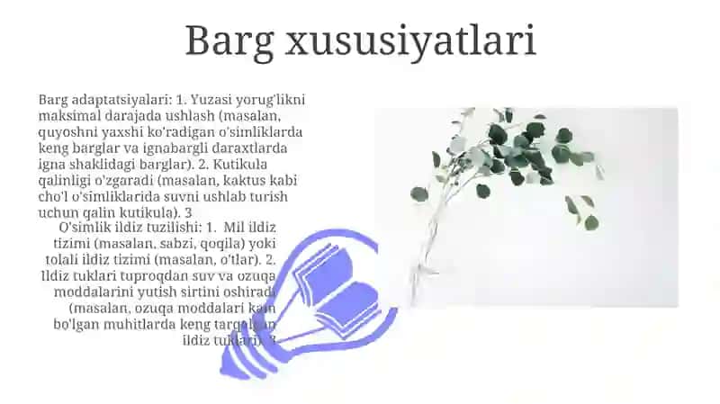 O'simlik ildiz, barg va gulning tuzilishi 3