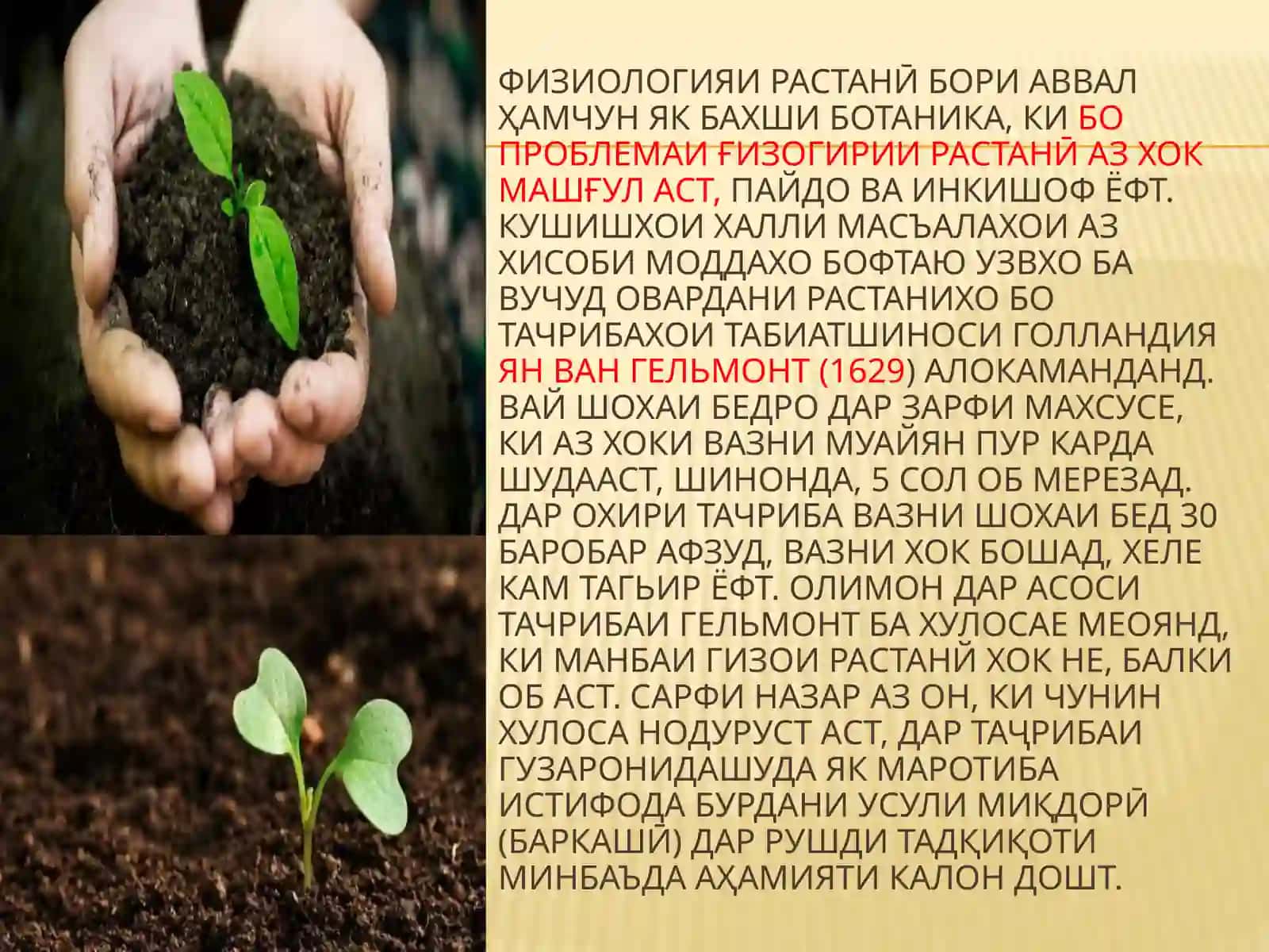 Фанни физиологияи растаниҳо 3