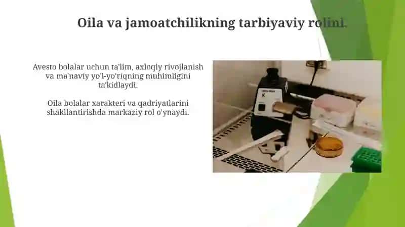 Avestoda bolalar talim tarbiyasiga oid qarashlar 3