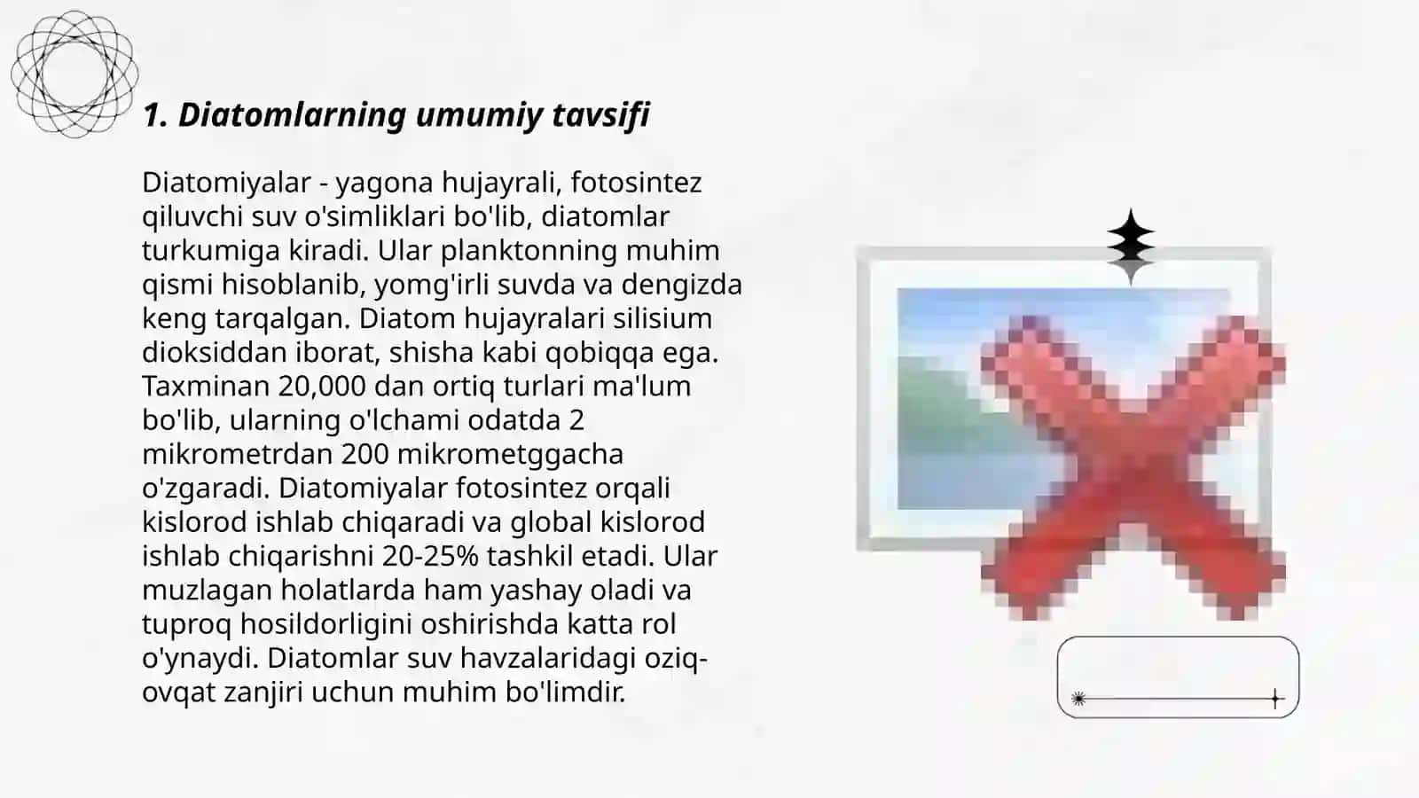 Diatom suvoʻtlar boʻlimi va ularning muhim vakillari 3