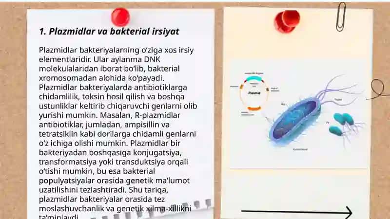 Mikroorganizmlarning genetikasi va o'zgaruvchanligi.Bakteriya irsiyatining o'garishlari. 3