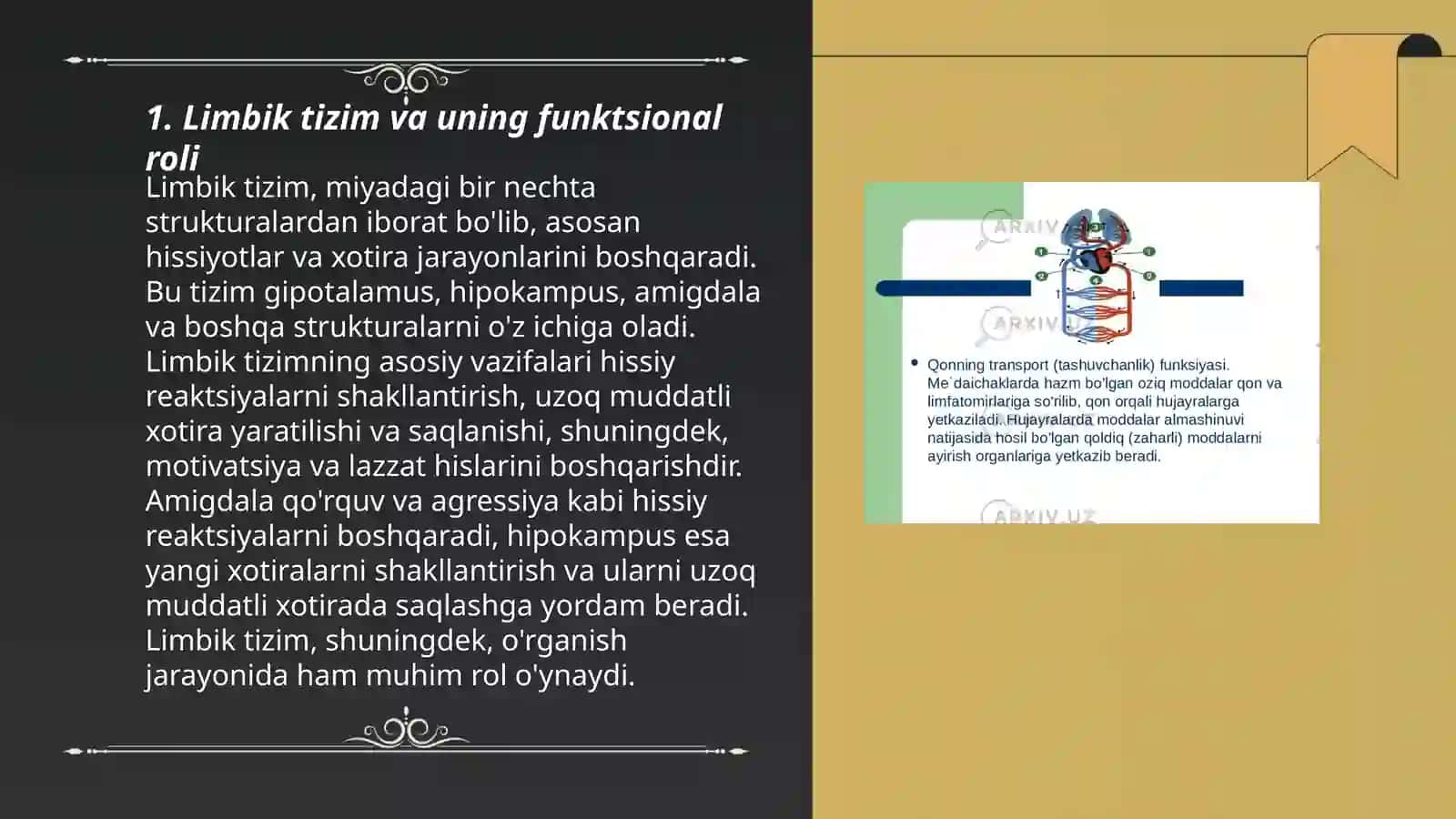 Limbik tizim 3