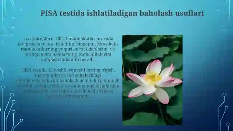 PISA test tarkibi 3