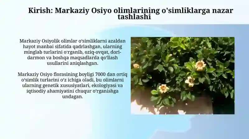 Oʻrta Osiyo olimlarining oʻsimliklar haqidagi fikrlari 3