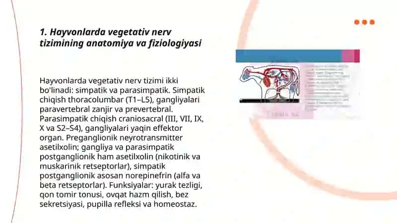Hayvonlarni vegetativ nerv sistemasidagi tasir etuvchi dori moddalarning farmakologiyasi 3