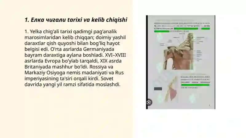 Yelka chig'ali 3