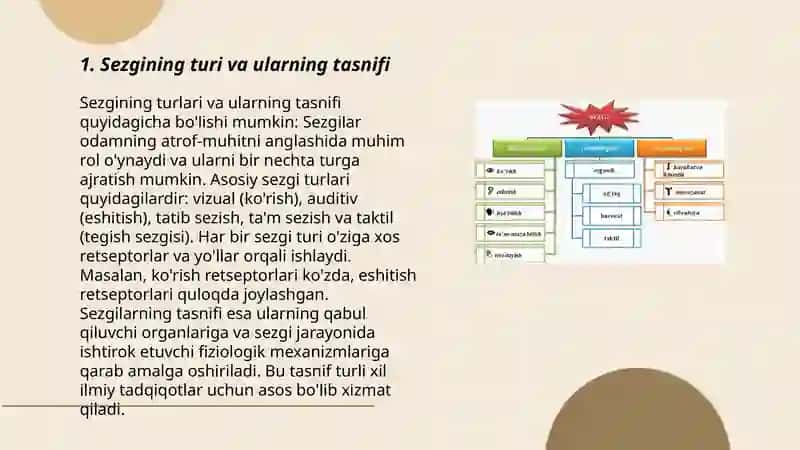 Sezgi turlari va uning xususiyatlari 3
