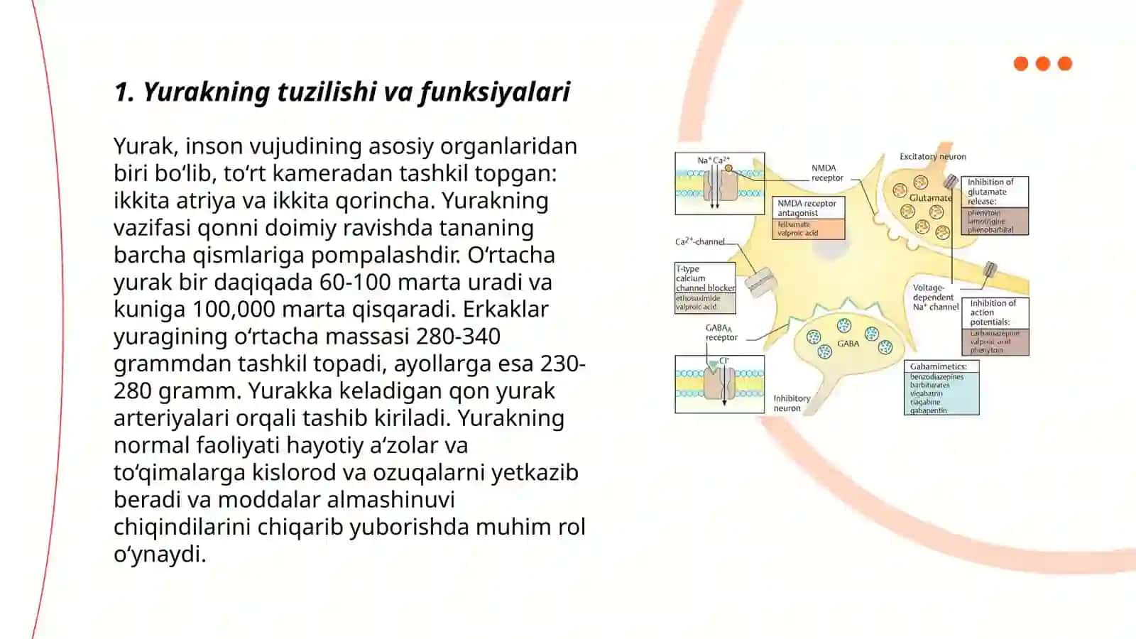 Yurak ichidagi boshqaruv mexanizmlari 3