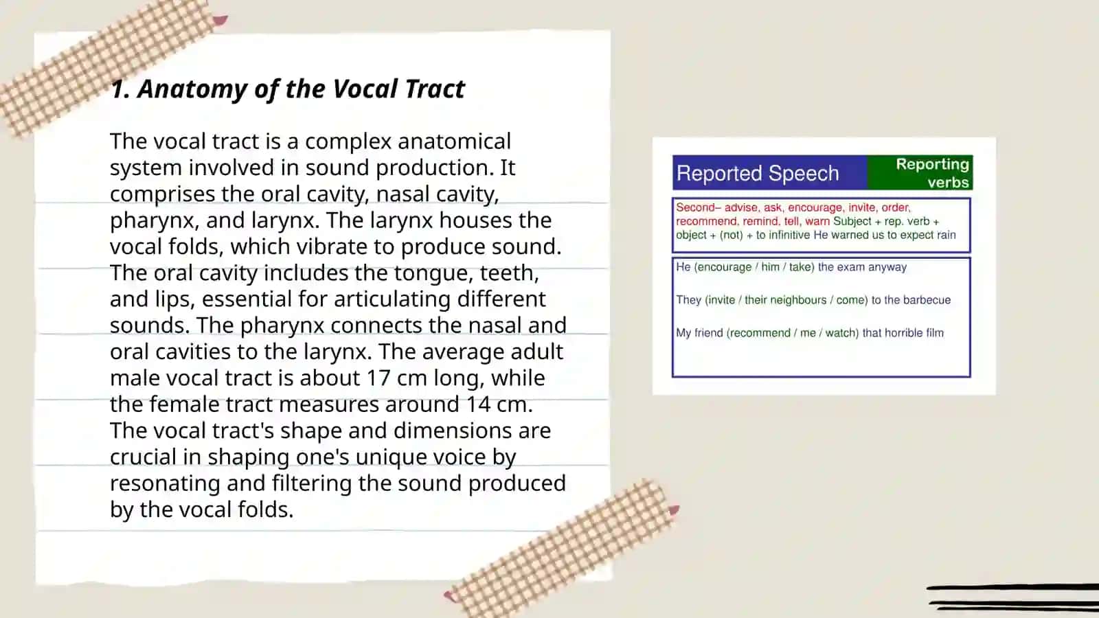 Production of Speech Sounds; organs of speech 3