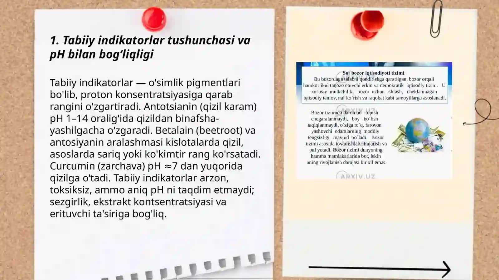 Tabiiy indikatorlar yordamida kislota va asoslarni aniqlash boʻyicha loyiha ishi 3