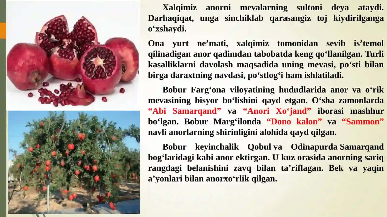 Kirish. Anorni kelib chiqishi, tarqalishi va rivojlanish tarixi 3