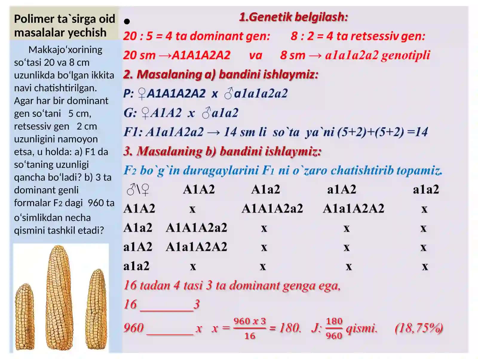 Polimer ta`sirga oid masalalar yechish 3