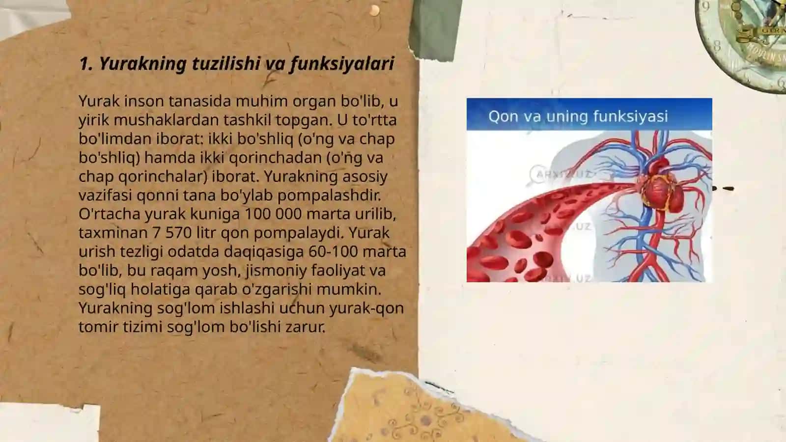 Qon va qon aylanish tizimining fiziologiyasi, yosh xususiyatlari va gigiyenasi 3
