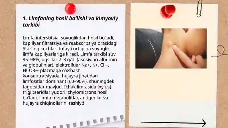 Limfa tizimining fiziologiyasi 3