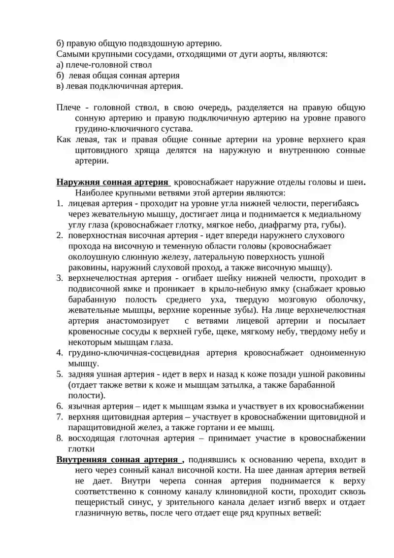 Аорта и ее ветви 3