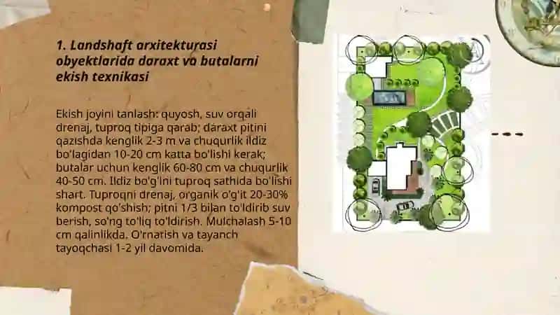 Landshaft arxitekturasi obyektlarida daraxt va butalarni parvarish qilish 3