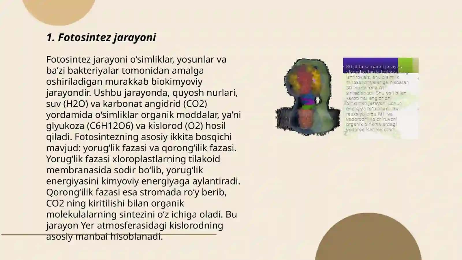 Fotosintez va hosildorlik 3