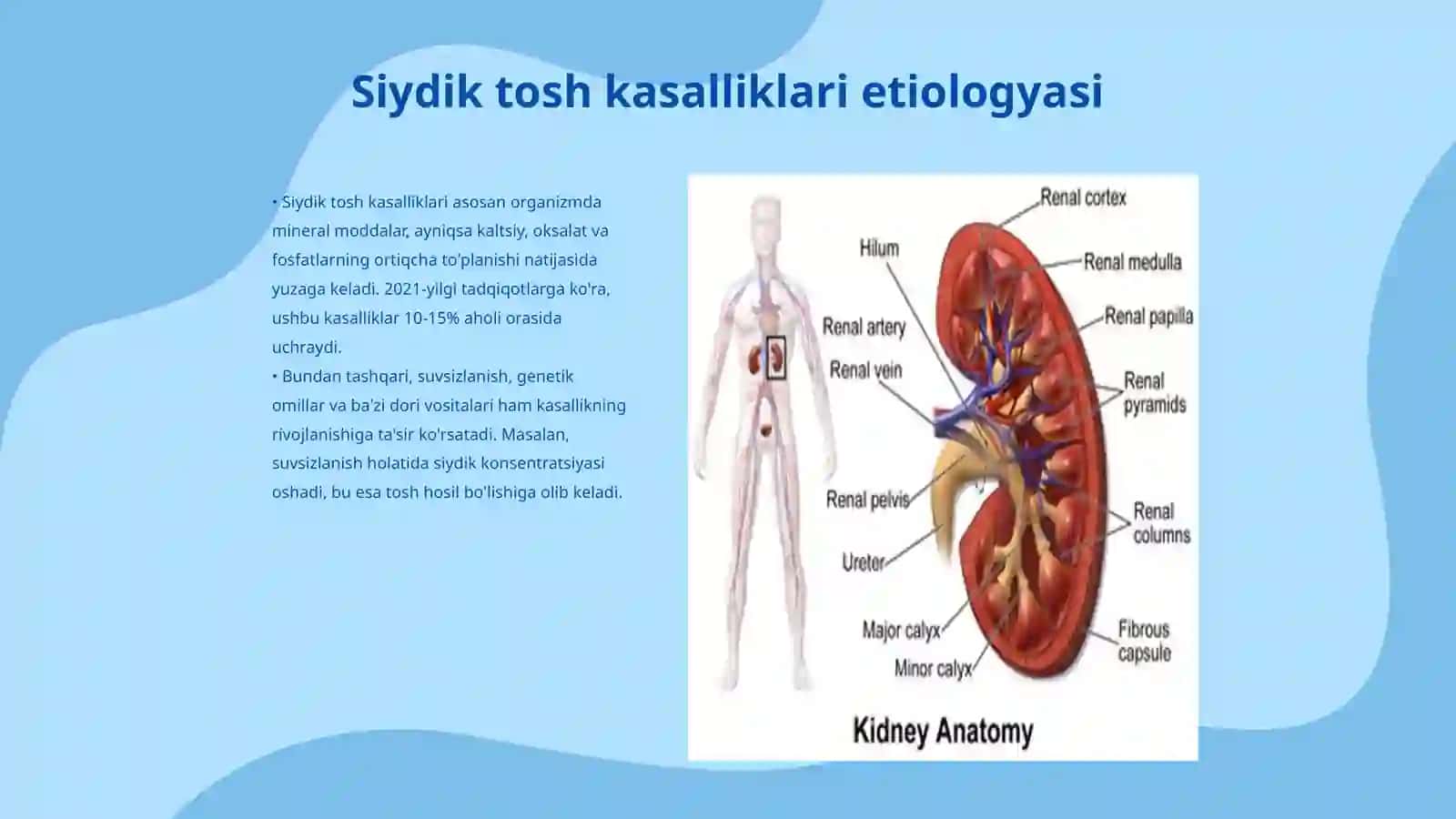 Siydik tosh kasalliklari 3