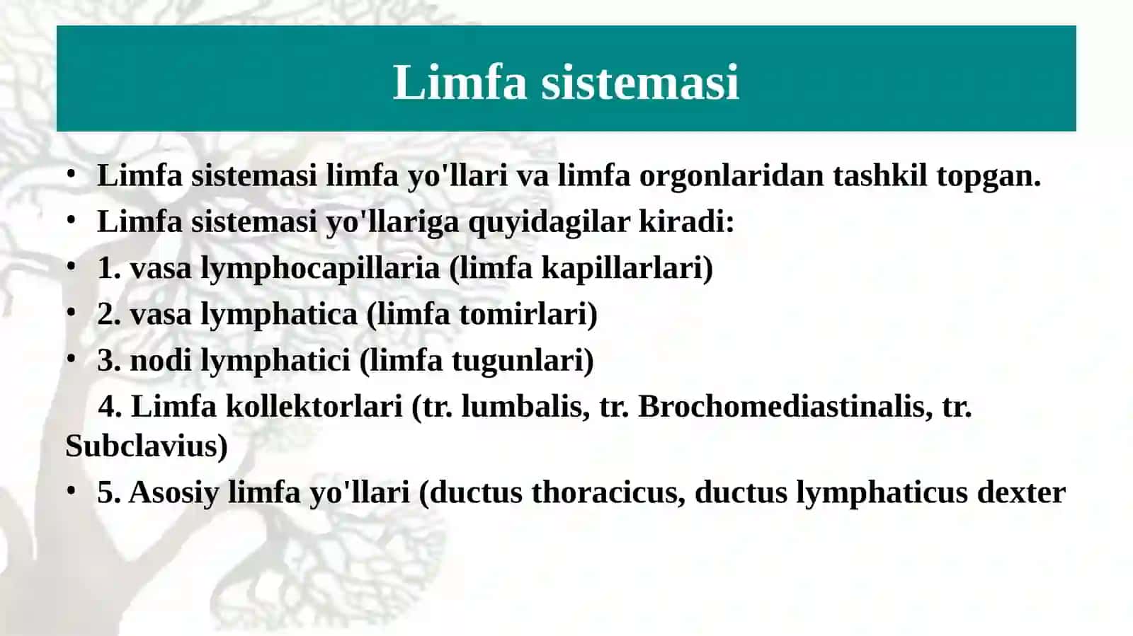 Limfa tizimning funksional va klinik anatomiyasi. Yuza va chuqur limfa tugunlarni joylashuvi va proyeksiyasi, asosiy  limfa oqimlari. Taloq: tuzilishi, klinik ahamiyati. 3