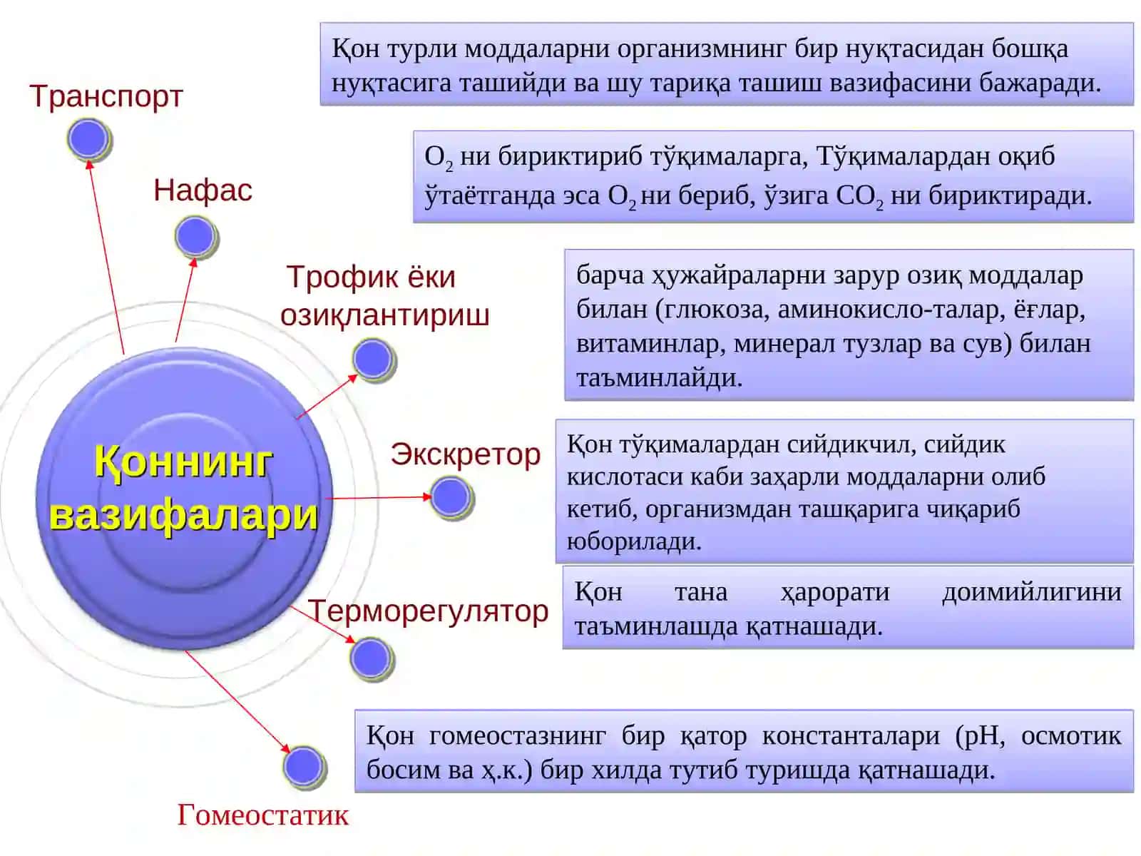 Қон таркиби. Қоннинг умумий тахлили 3