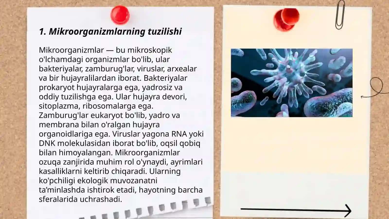 Mikroorganizmlar tuzilishi va ular keltirib chiqaradigan kasalliklar 3