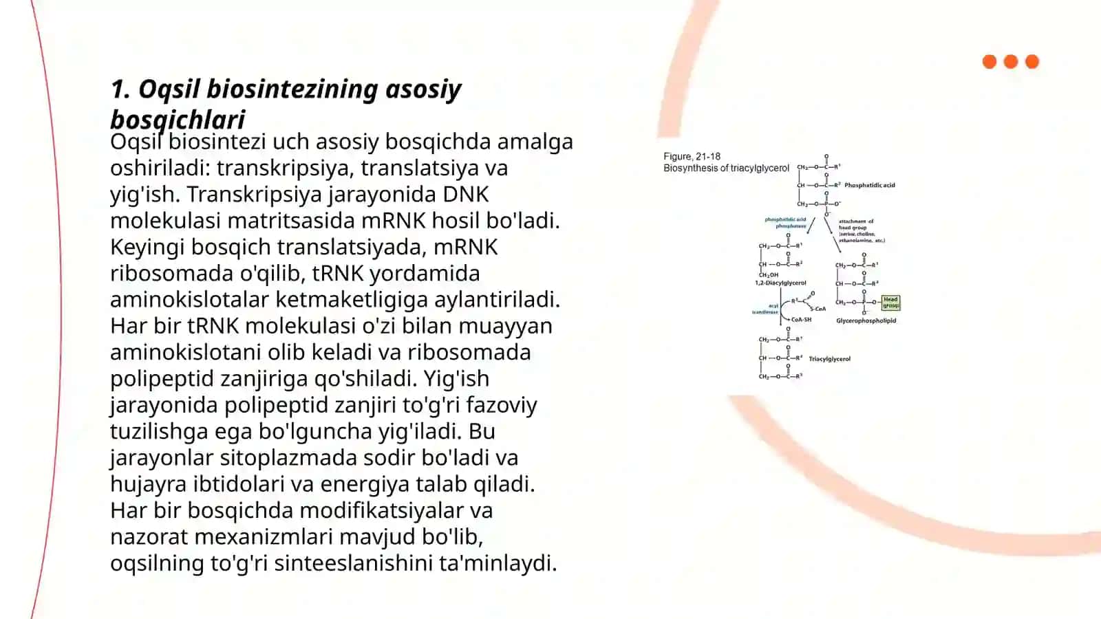 Oqsil biosintezi jarayoni.Ribosomaning pro va eukariotlardagi tuzilishi, tarkibi va farqlanishi 3
