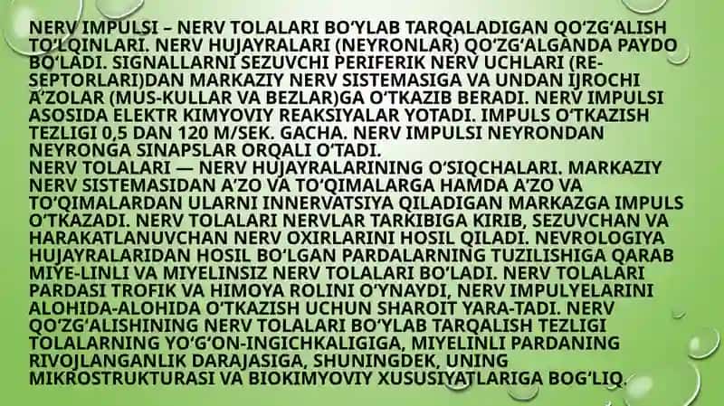 Nervboʻylabqo’zgalishinio’tkazish yoki mushak tolasi elektr vakimyoviysinapslar 3