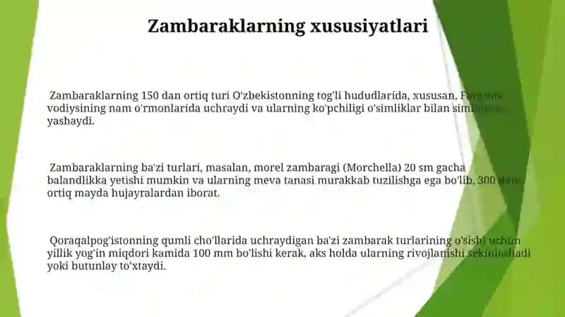 Zambaraklar va likenlar 3
