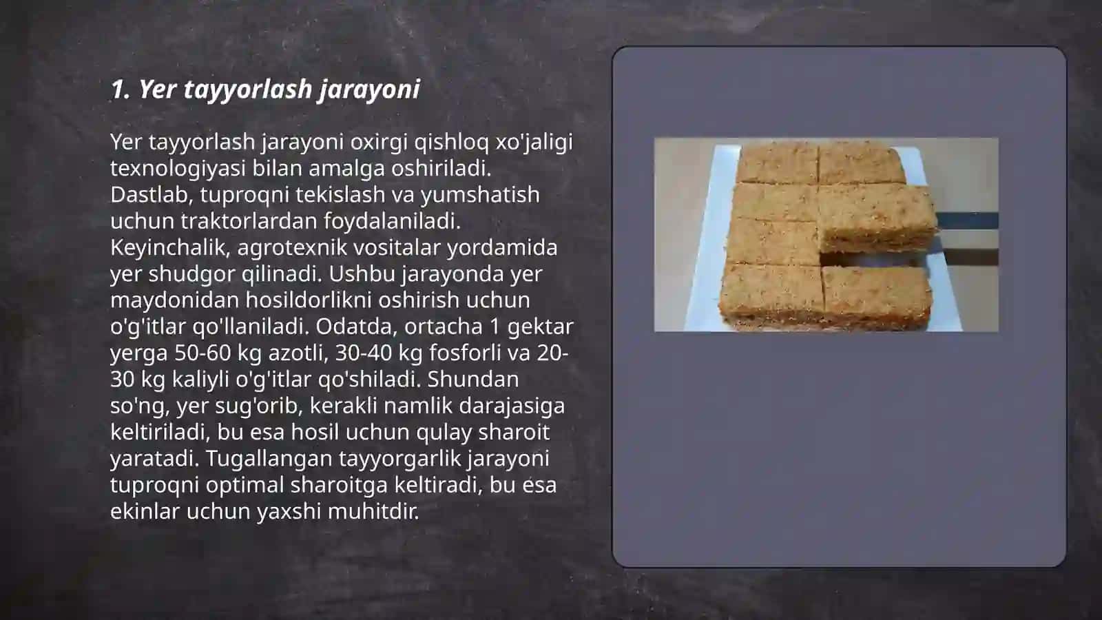 Yerni kuzgi boʻgʻdoy va gʻoʻza ekishga tayyorlash 3