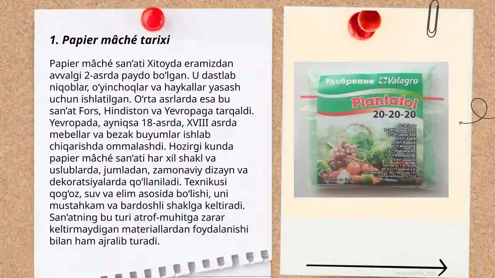 Pape mashe haqida maʼlumot 3