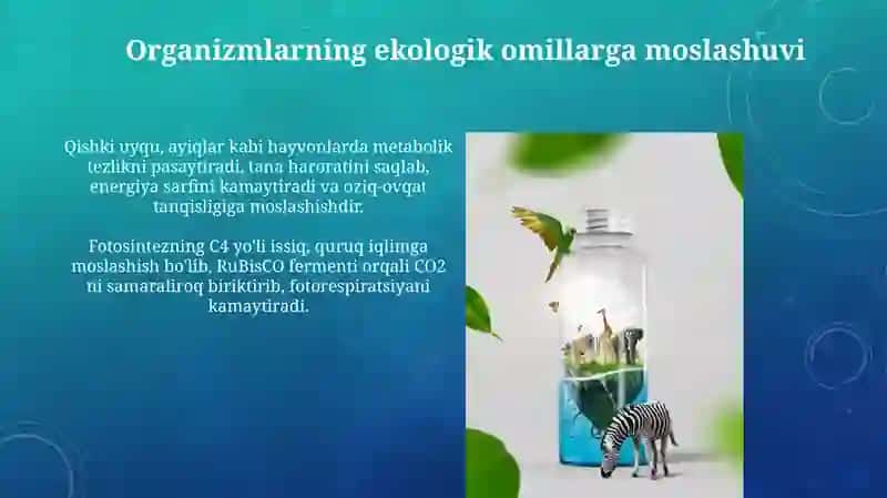 Turli ekologik omillarni tirik organizmlarga taʼsir etish mexanizmi 3
